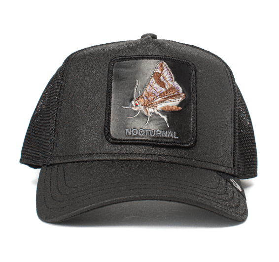 BASEBALL GIMME THE LIGHT GOORIN BROS BLACK - Hut - online.at