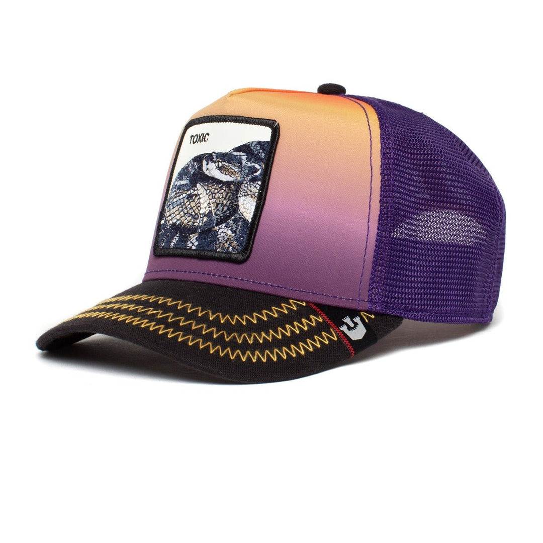 BASEBALL TOXIC GOORIN BROS PURPLE - Hut - online.at