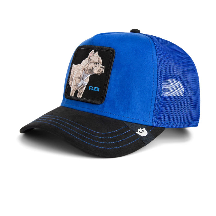 Trucker Cap Suede Pitbull Royal Void Goorin Bros