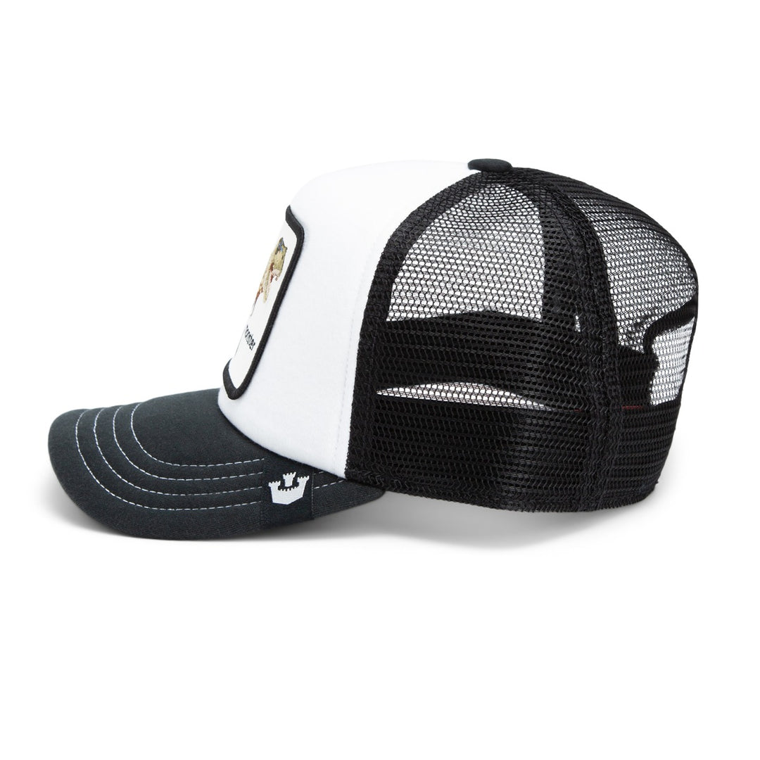 Trucker Cap Kinder Dino Kiddo Goorin Bros