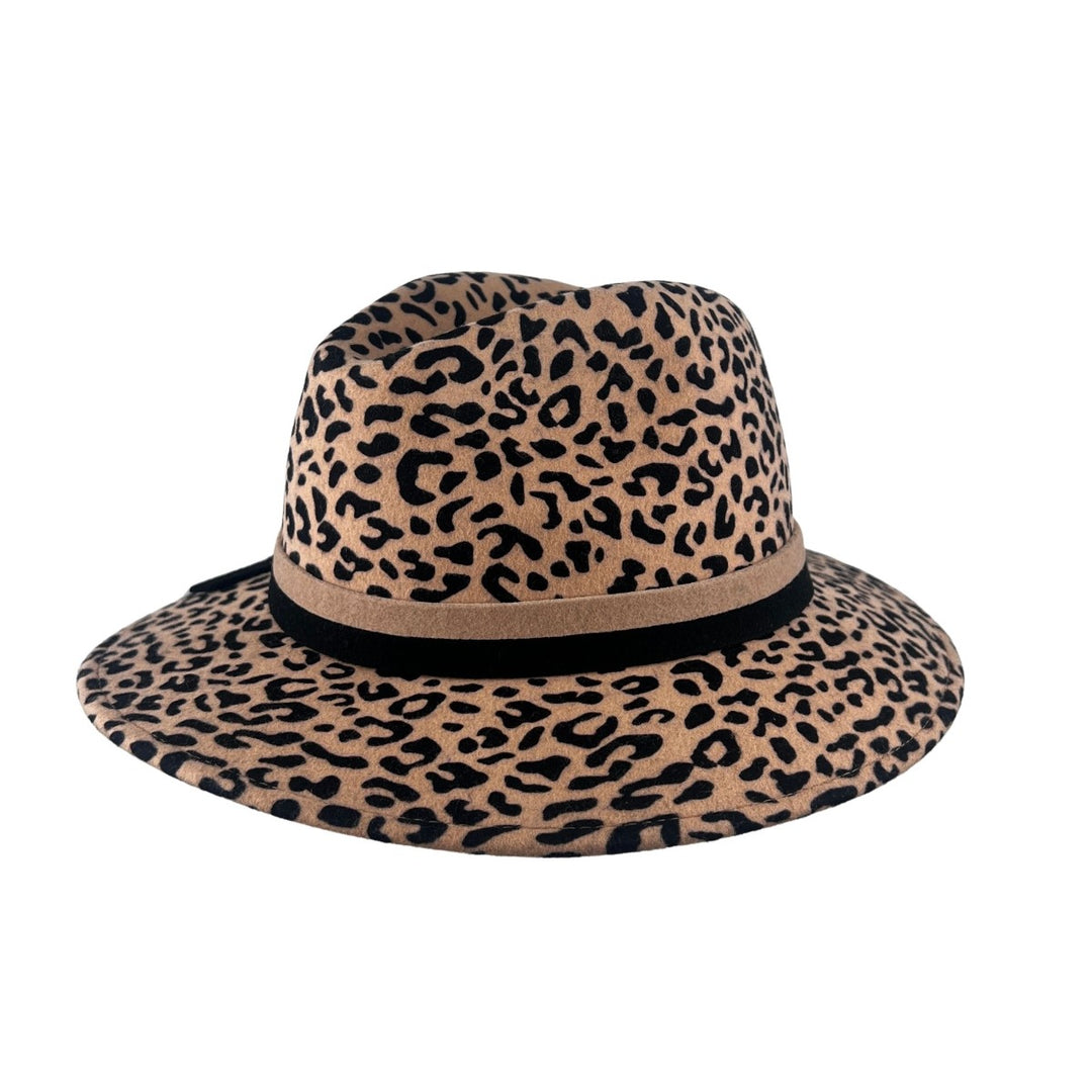 Fedora Adonis Leo Bedacht