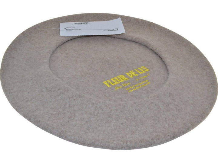 PARIS 300 BEIGE MELANGE - Hut - online.at